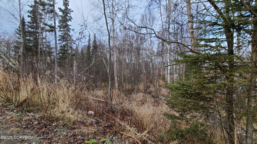 9111 W Sammie Circle, Wasilla, AK 99623