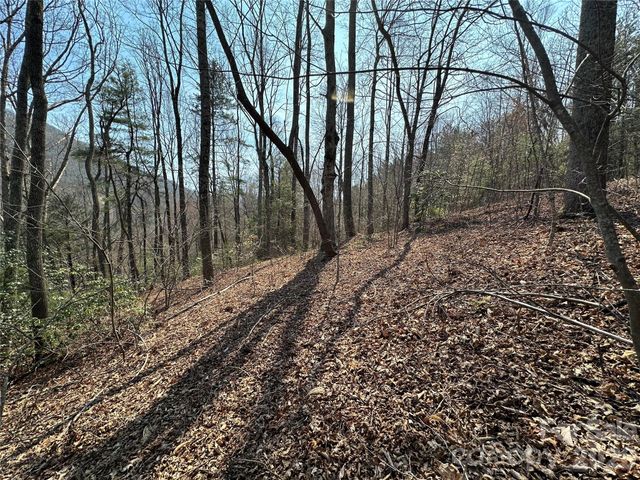 TBD Wood Stone Drive 14, Hendersonville, NC 28792