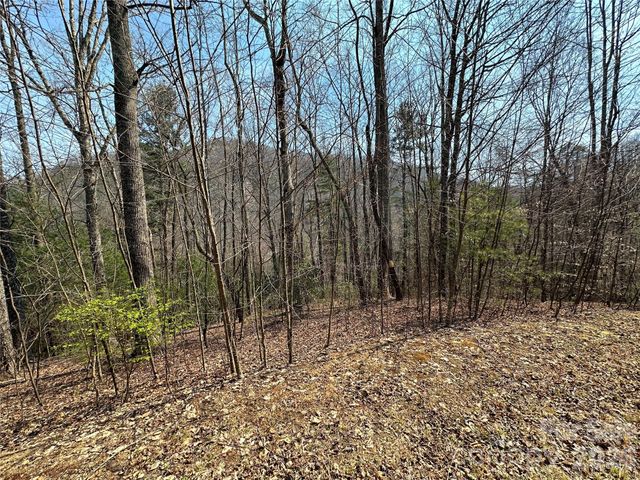 TBD Wood Stone Drive 14, Hendersonville, NC 28792