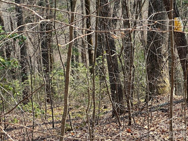 TBD Wood Stone Drive 14, Hendersonville, NC 28792