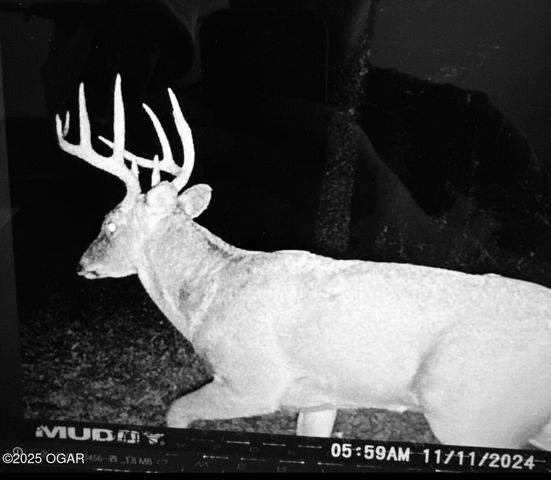 9997 Harmony Road, Carthage, MO 64836