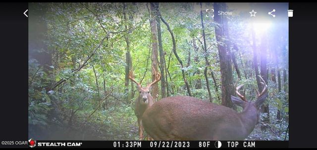 9997 Harmony Road, Carthage, MO 64836