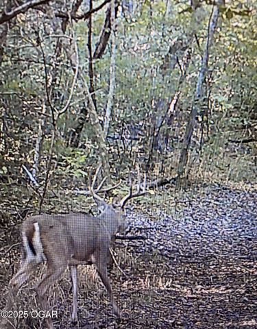 9997 Harmony Road, Carthage, MO 64836