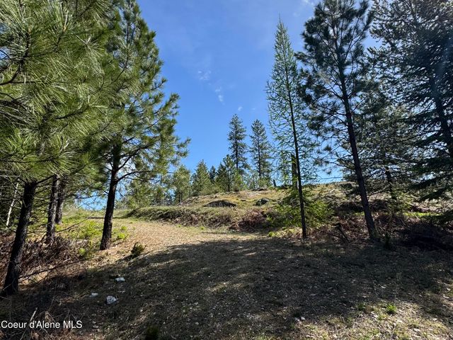963 Irish RD, Sagle, ID 83860