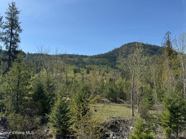 963 Irish RD, Sagle, ID 83860
