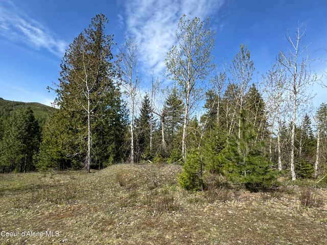 963 Irish RD, Sagle, ID 83860
