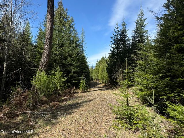 963 Irish RD, Sagle, ID 83860