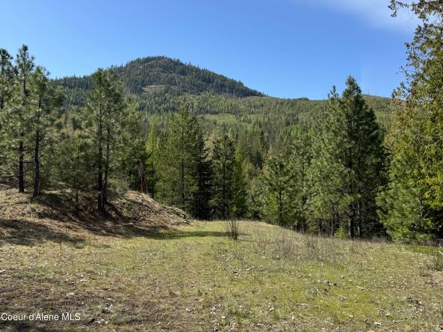 963 Irish RD, Sagle, ID 83860