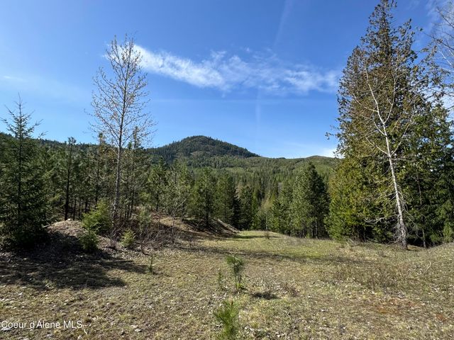 963 Irish RD, Sagle, ID 83860