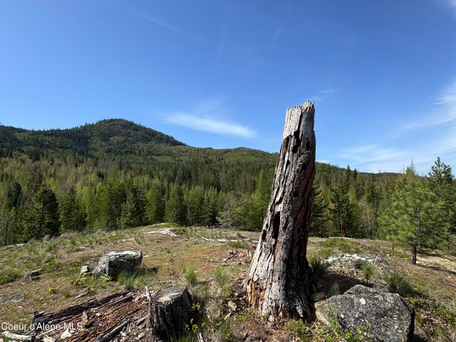 963 Irish RD, Sagle, ID 83860