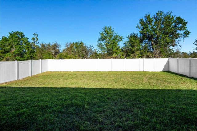 13355 WILLOW BLUESTAR LOOP, Riverview, FL 33579