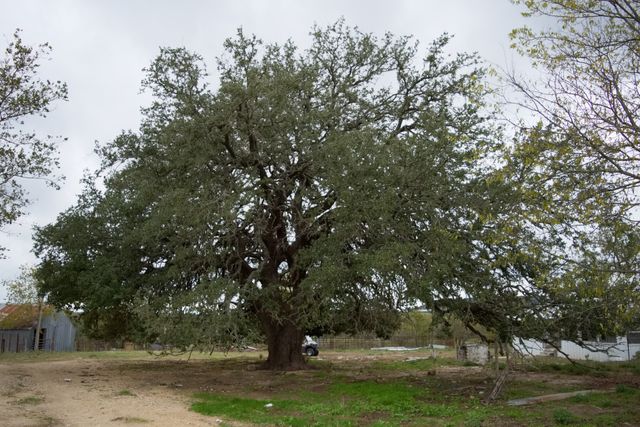 1690 County Road 530, Evant, TX 76525