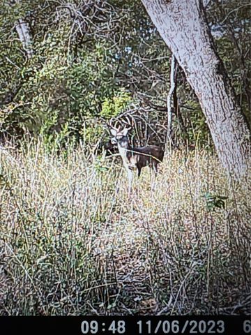 1690 County Road 530, Evant, TX 76525