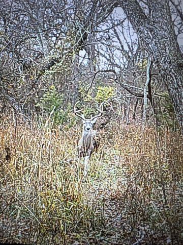 1690 County Road 530, Evant, TX 76525
