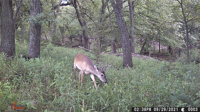 1690 County Road 530, Evant, TX 76525