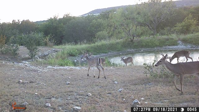 1690 County Road 530, Evant, TX 76525