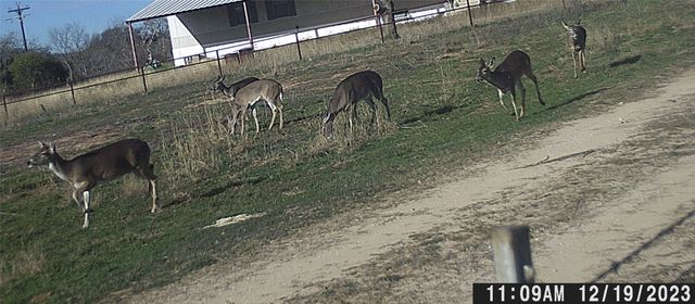1690 County Road 530, Evant, TX 76525