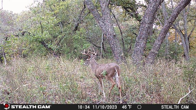1690 County Road 530, Evant, TX 76525