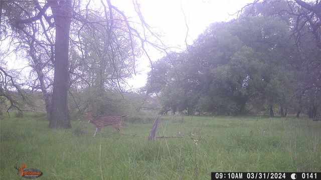 1690 County Road 530, Evant, TX 76525