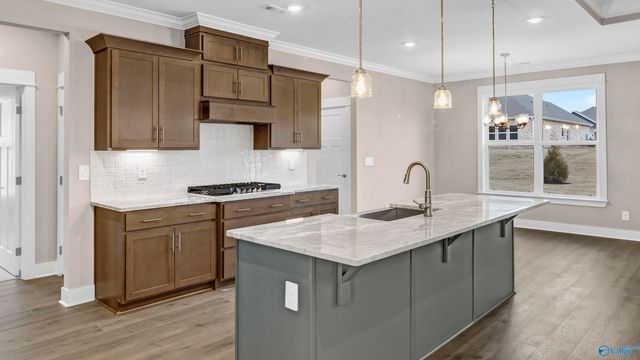 3658 Preserve Park Boulevard SW, Madison, AL 35756