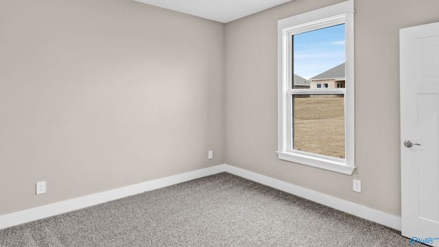 3658 Preserve Park Boulevard SW, Madison, AL 35756