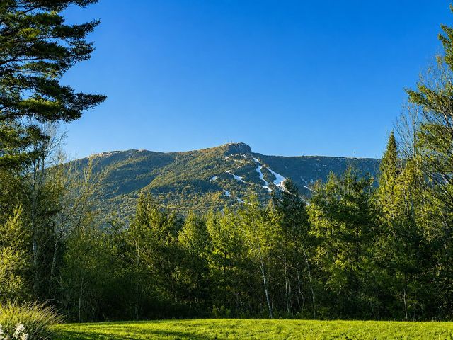 740 Edson Hill Road, Stowe, VT 05672