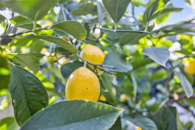 226 W Clay St, Stockton, CA 95206