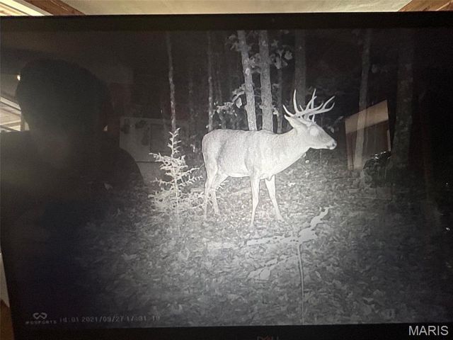 12855 Chicago Road, Dixon, MO 65459