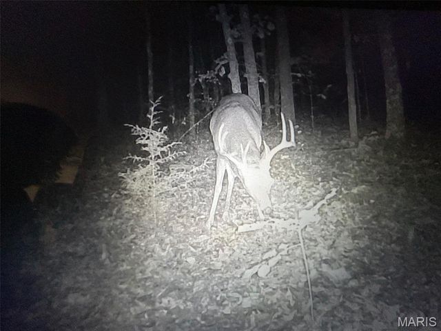 12855 Chicago Road, Dixon, MO 65459