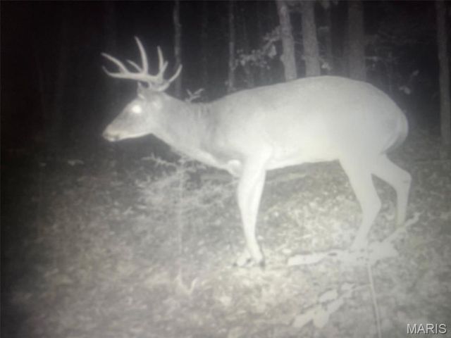 12855 Chicago Road, Dixon, MO 65459