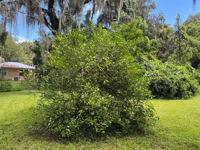 TBD AVENUE H, Mc Intosh, FL 32664