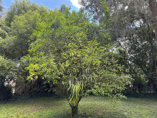 TBD AVENUE H, Mc Intosh, FL 32664
