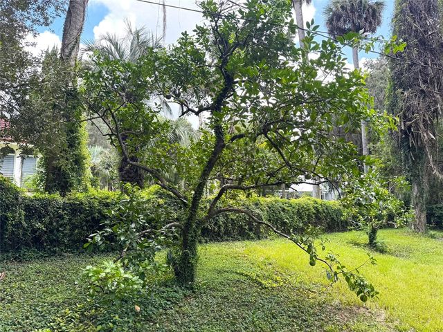 TBD AVENUE H, Mc Intosh, FL 32664