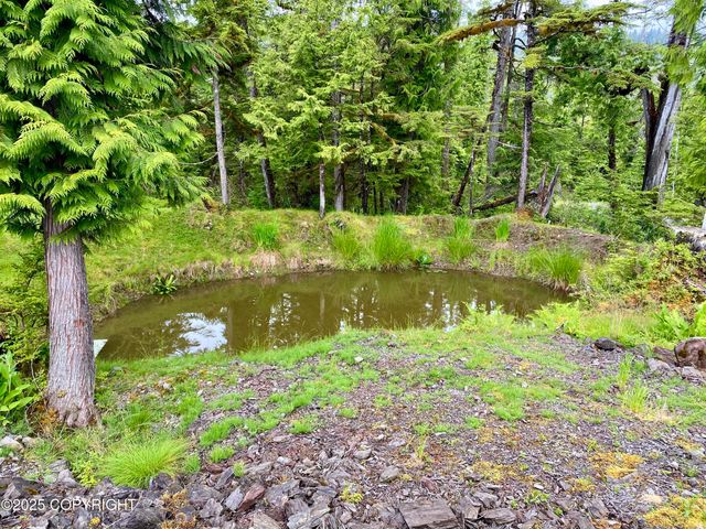 76 Alcoa Lane, Edna Bay, AK 99921