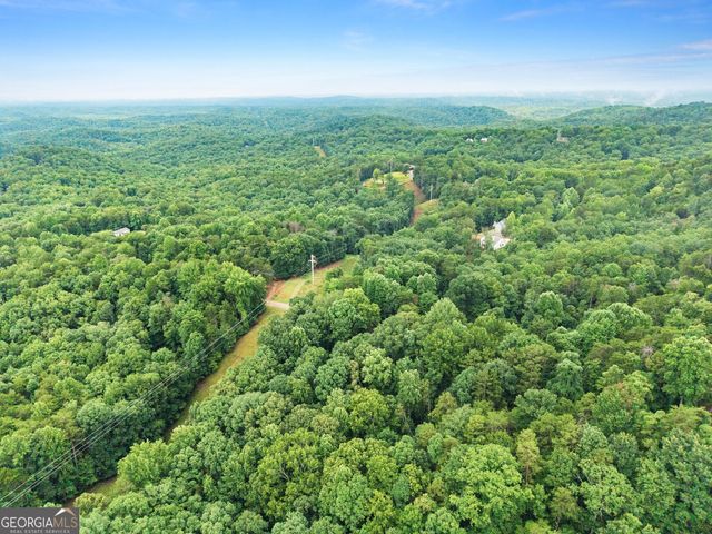 195 Golden Avenue, Dahlonega, GA 30533