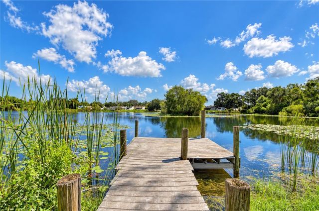 12505 MONDRAGON DRIVE, Tampa, FL 33625