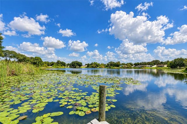 12505 MONDRAGON DRIVE, Tampa, FL 33625