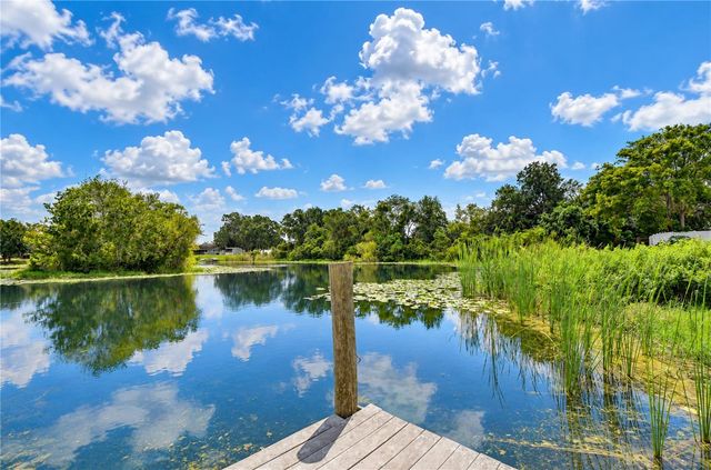 12505 MONDRAGON DRIVE, Tampa, FL 33625