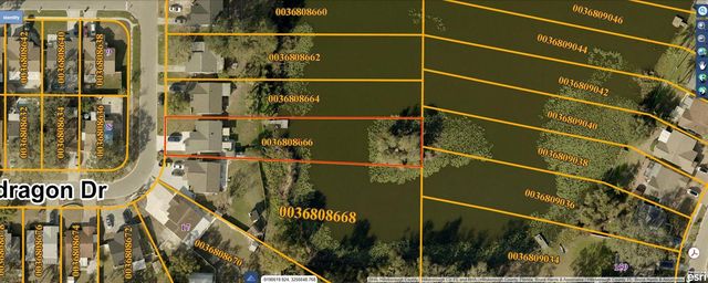 12505 MONDRAGON DRIVE, Tampa, FL 33625