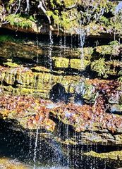 2024 Powdermill Hill Rd, Lawrenceburg, TN 38464