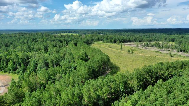 2679 Oakdale Loop, Livingston, TX 77351