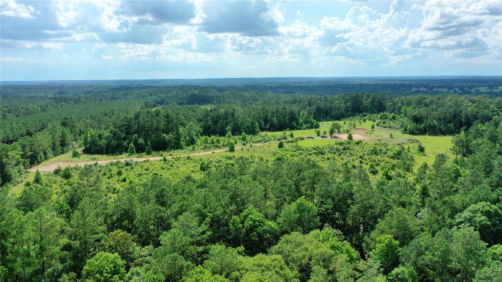2679 Oakdale Loop, Livingston, TX 77351
