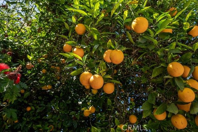 340 E Old Mill, Corona, CA 92879