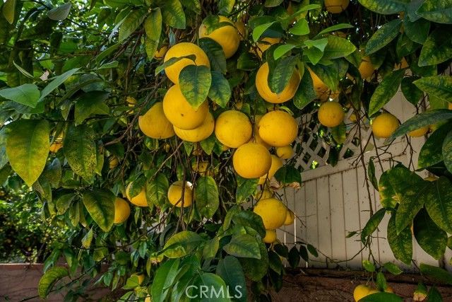 340 E Old Mill, Corona, CA 92879