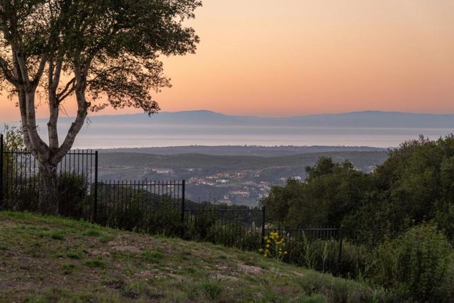 12167 Saddle Road, Carmel Valley, CA 93924