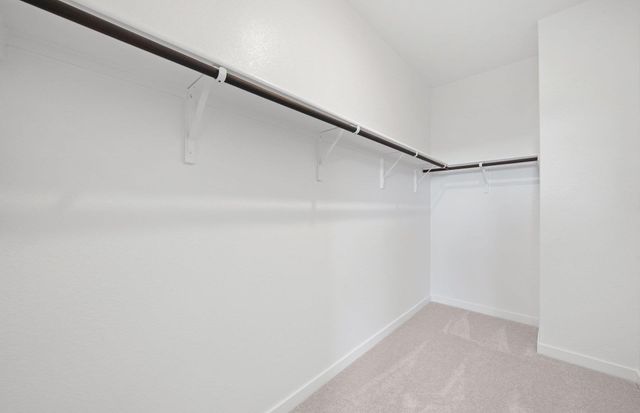 304 Kapok ST, Buda, TX 78610