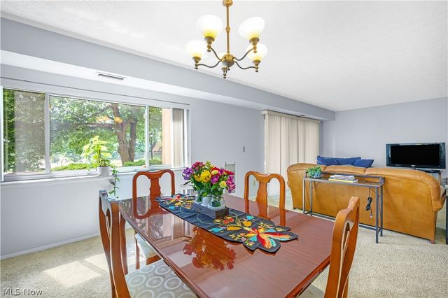 186 Court Drive 105, Fairlawn, OH 44333