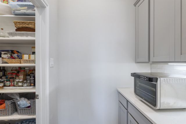 1112 Diamond Dove Drive, Little Elm, TX 75068