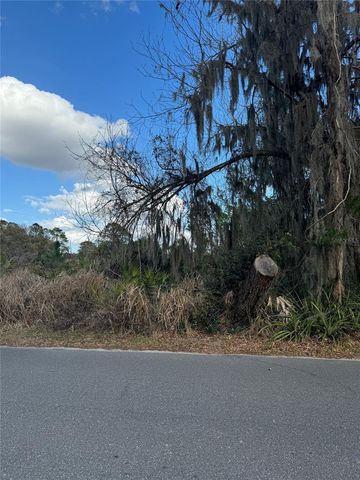 COVE ROAD, Tavares, FL 32778