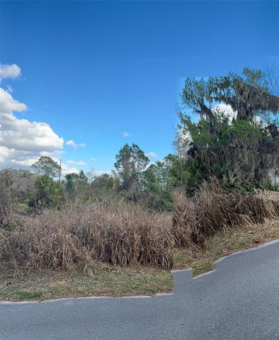 COVE ROAD, Tavares, FL 32778